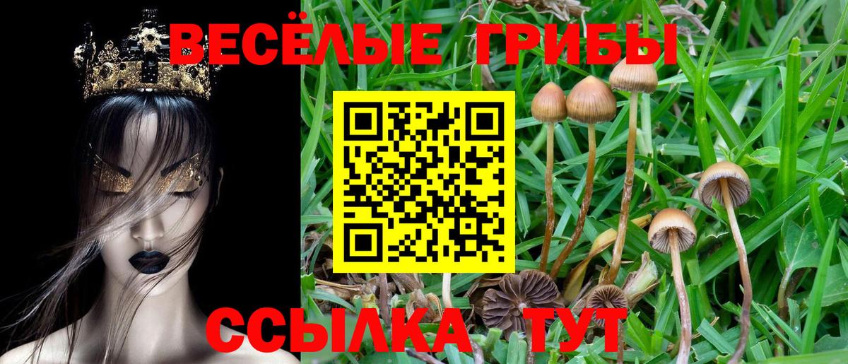 Псилоцибиновые грибы Magic Shrooms  Вход с VPN  Когалым  Галлюциногенные грибы GOLDEN TEACHER 
